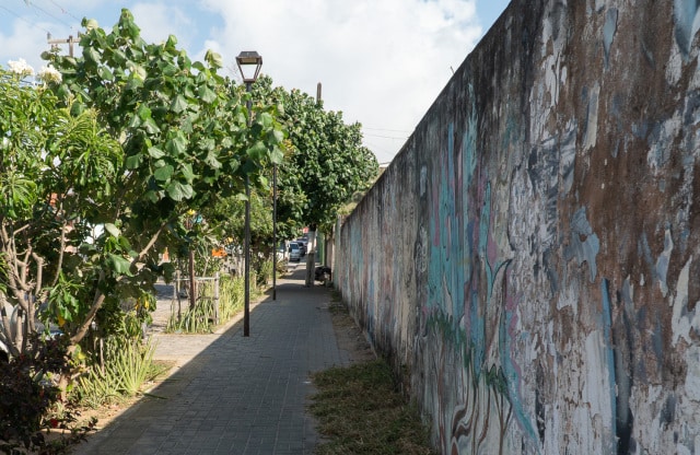 Alameda Pe Sabino_rua Verde - Foto Nicole Miescher