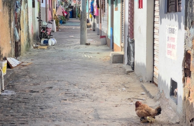Rua do Conjuntinho Mãe Luiza 2024 (4)