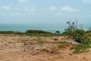 vista da Arena ao mar - Foto Nicole Miescher