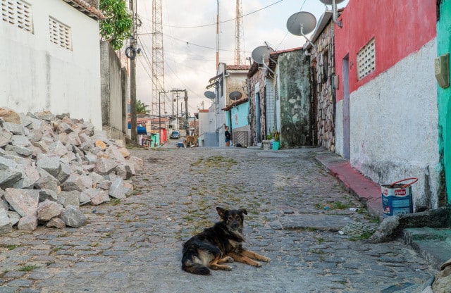 rua Sao Pedro 2019 - Foto Nicole Miescher