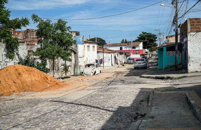 Alameda Pe Sabino 2019 -Foto Nicole Miescher