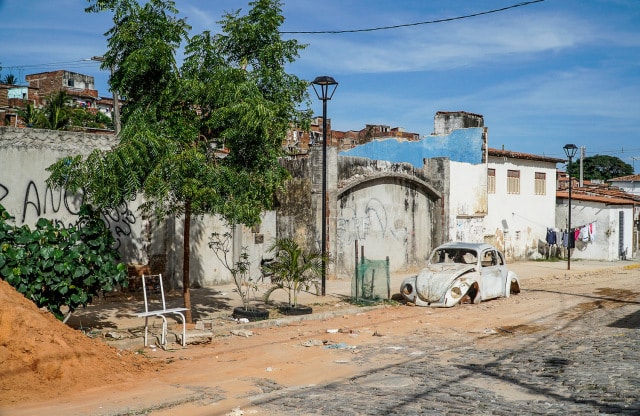 Alameda Pe Sabino 2019 -Foto Nicole Miescher
