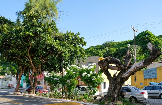 Alameda Pe Sabino 2018_Igreja_rua Verde - Foto Nicole Miescher